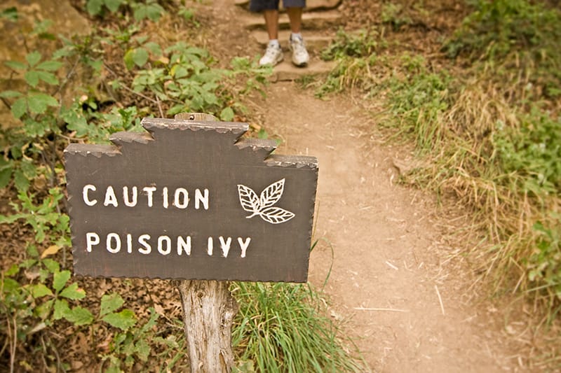 Poison Ivy sign on Trail