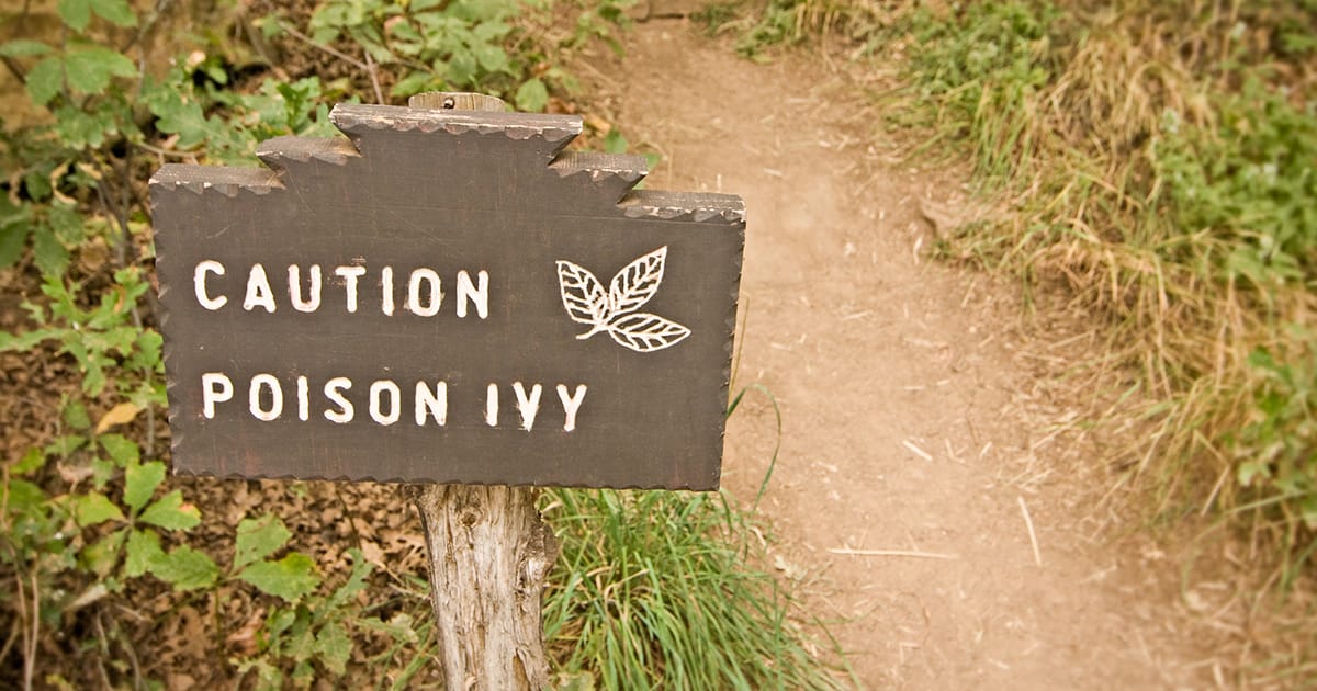 Can You Pop Poison Ivy Blisters How To Relieve A Poison Ivy Oak Or Sumac Rash The Iowa Clinic