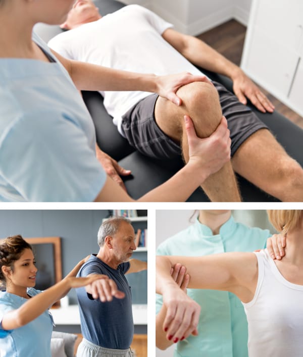 collage of physical therapy